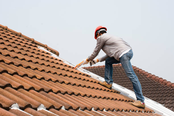 Best Gutter Installation and Repair  in Collinsville, AL