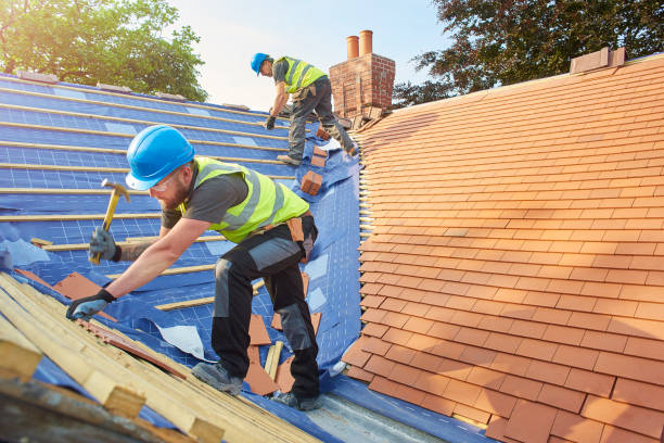 Best Roof Moss and Algae Removal  in Collinsville, AL